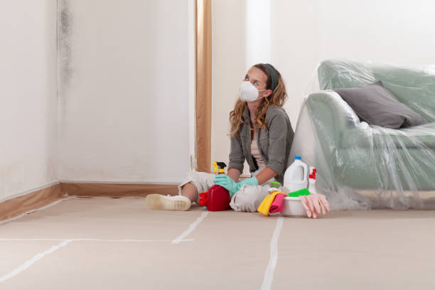 Reliable Basement Mold Remediation contractor in Medfield, MA by 24 Hour Mold Removal